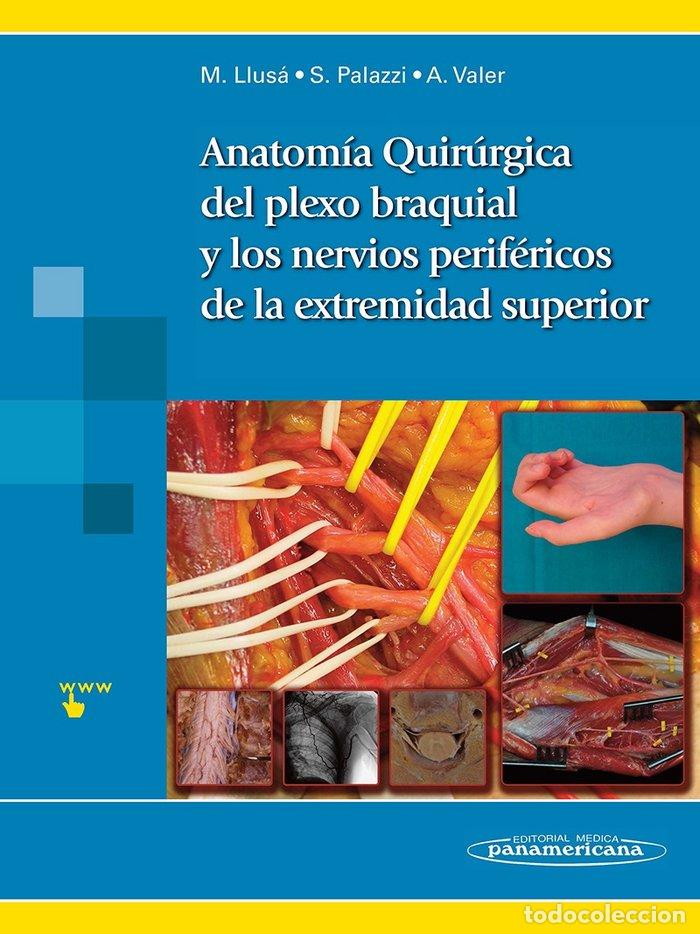 Libri: ANATOMIA QUIRURGICA DEL PLEXO BRAQUIAL Y NERVIOS PERIFERICOS - LLUSA PEREZ, MANUEL