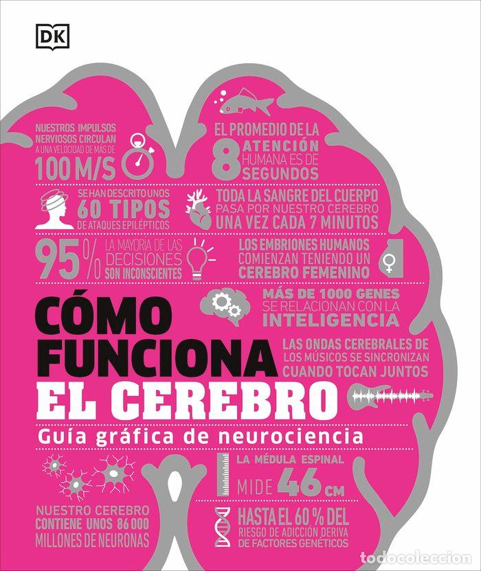 books: COMO FUNCIONA EL CEREBRO - DK