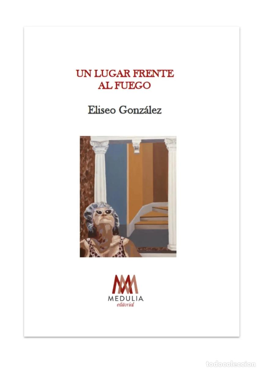 B&uuml;cher: UN LUGAR FRENTE AL FUEGO - GONZALEZ, ELISEO