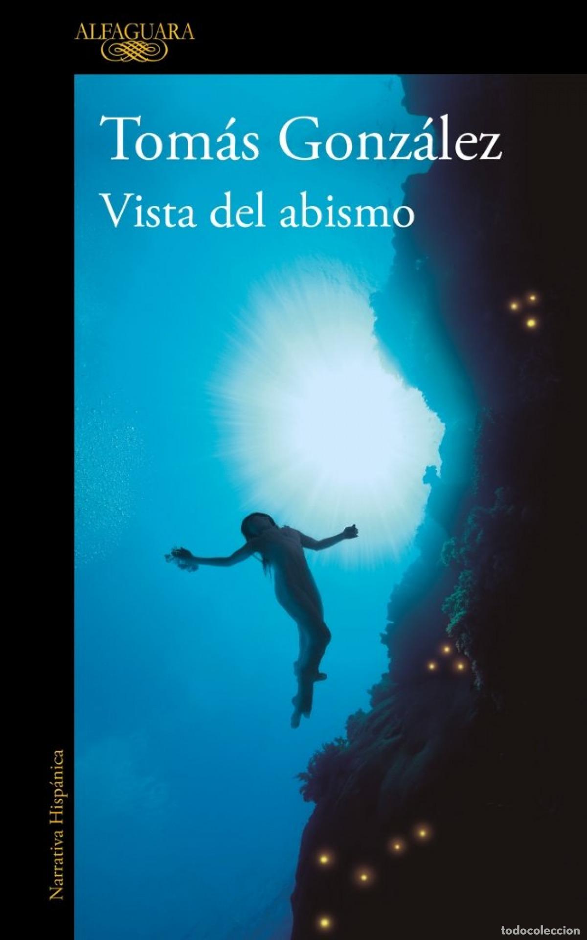 Libros: VISTA DEL ABISMO - Gonz&aacute;lez, Tom&aacute;s