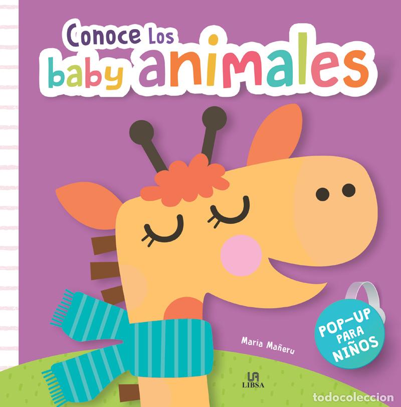 Libri: CONOCE LOS BABY ANIMALES - Equipo Editorial
