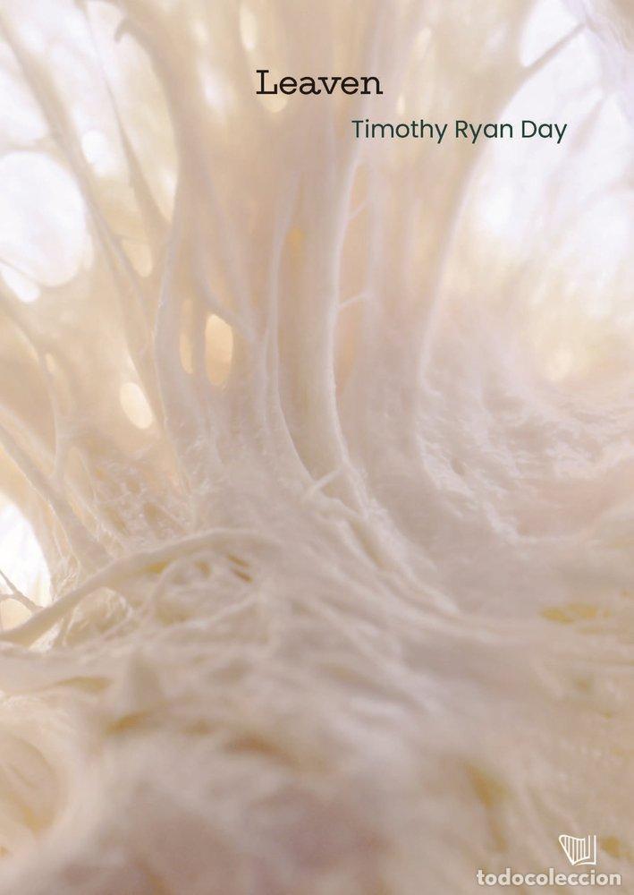 B&uuml;cher: LEAVEN - DAY, TIMOTHY RYAN