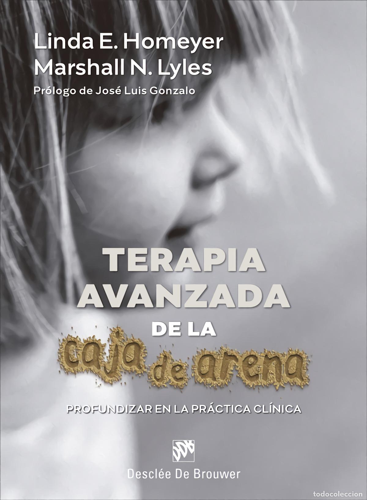 B&uuml;cher: TERAPIA AVANZADA DE LA CAJA DE ARENA PROFUNDIZAR EN LA PRAC - HOMEYER, LINDA E.