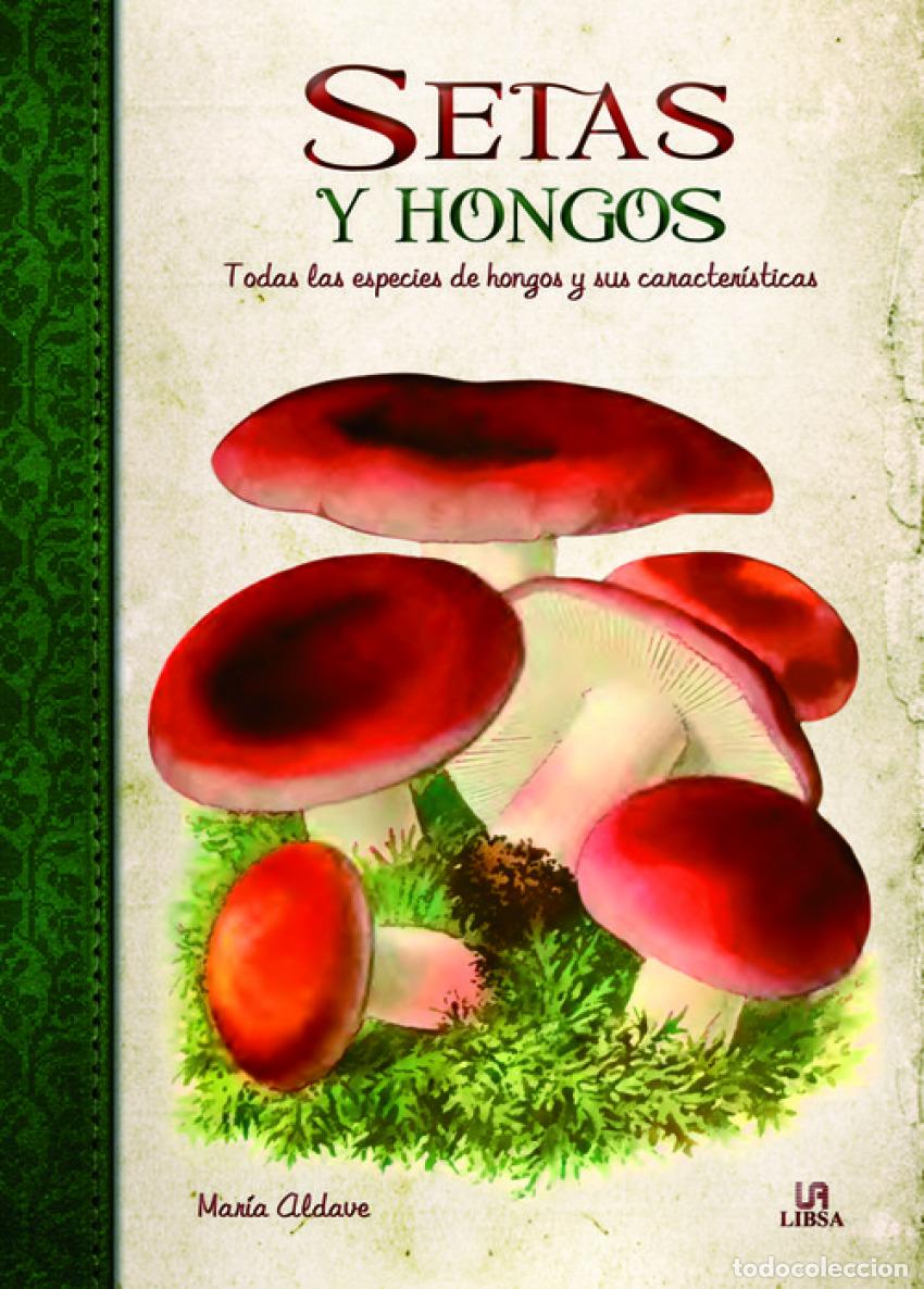 B&uuml;cher: SETAS Y HONGOS - Aldave, Maria