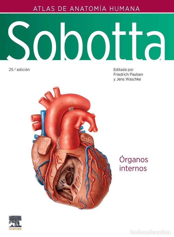 books: SOBOTTA ATLAS DE ANATOMIA HUMANA VOL 2 25&ordf; ED - PAULSEN