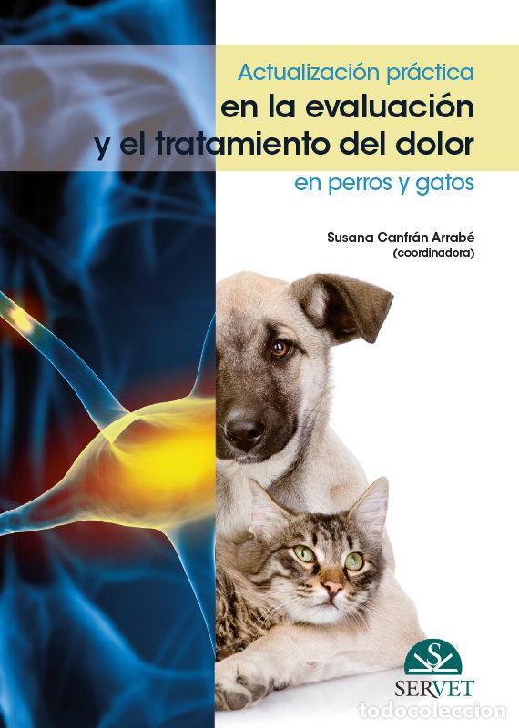 Livres: ACTUALIZACION PRACTICA EN LA EVALUACION Y EL TRATAMIENTO DEL - CANFRAN ARRABE, SUSANA