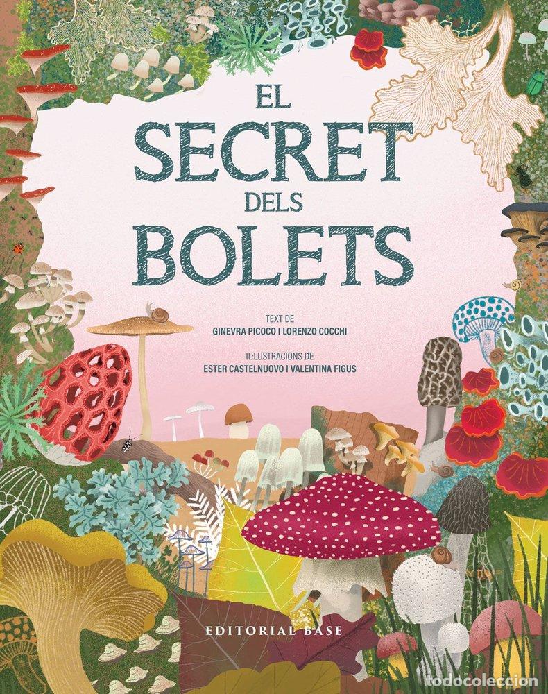 Libri: EL SECRET DELS BOLETS - PICOCO, GINEVRA
