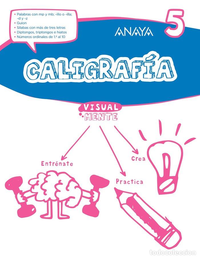 B&uuml;cher: CALIGRAFIA 5 EP VISUALMENTE 17 - AA.VV