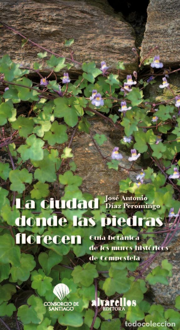 Libri: CIUDAD DONDE LAS PIEDRAS FLORECEN,LA - DIAZ PEROMINGO, JOSE ANTONIO