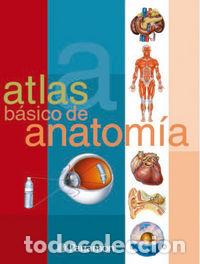Livres: ATLAS BASICO DE ANATOMIA - AA.VV.
