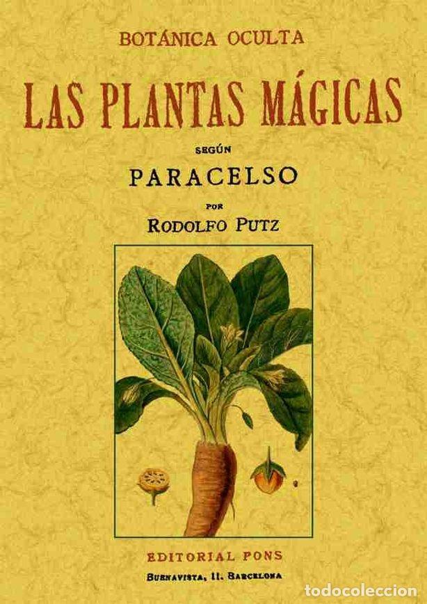 Livres: BOTANICA OCULTA LAS PLANTAS MAGICAS SEGUN PARACELSO - PUTZ, RODOLFO