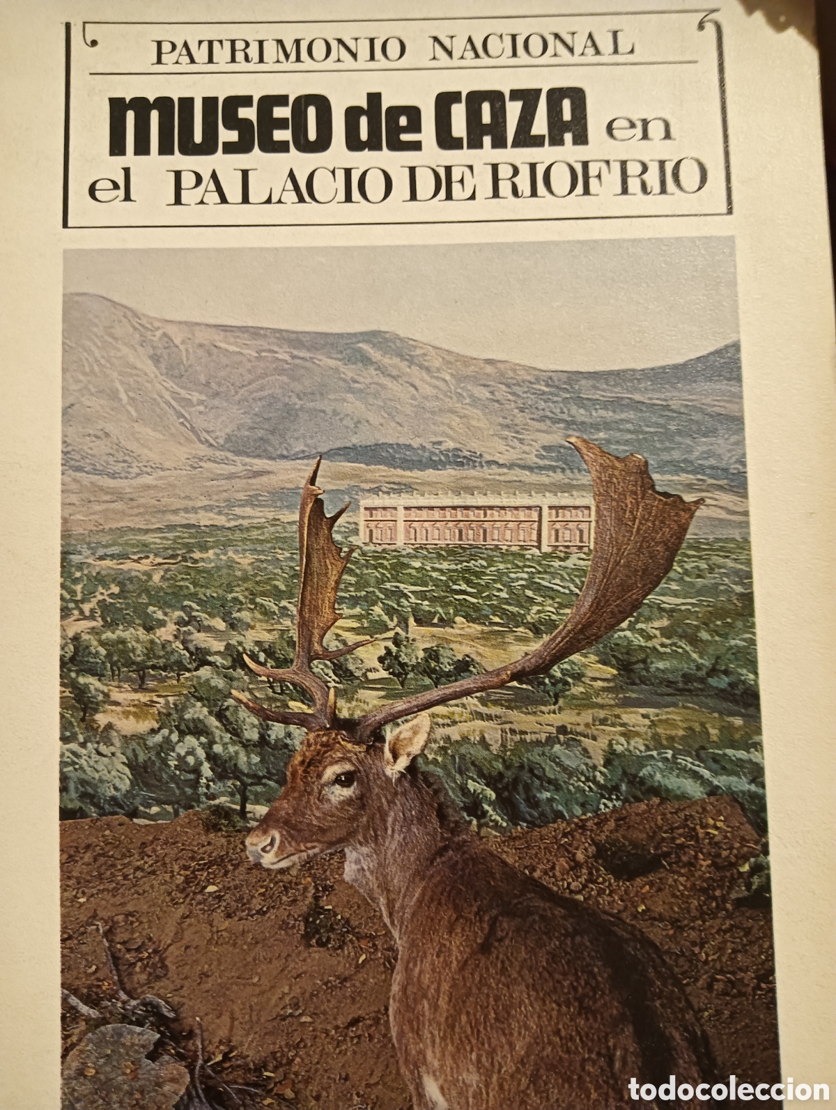 Libri: Museo de caza en el Palacio de riofr&iacute;o