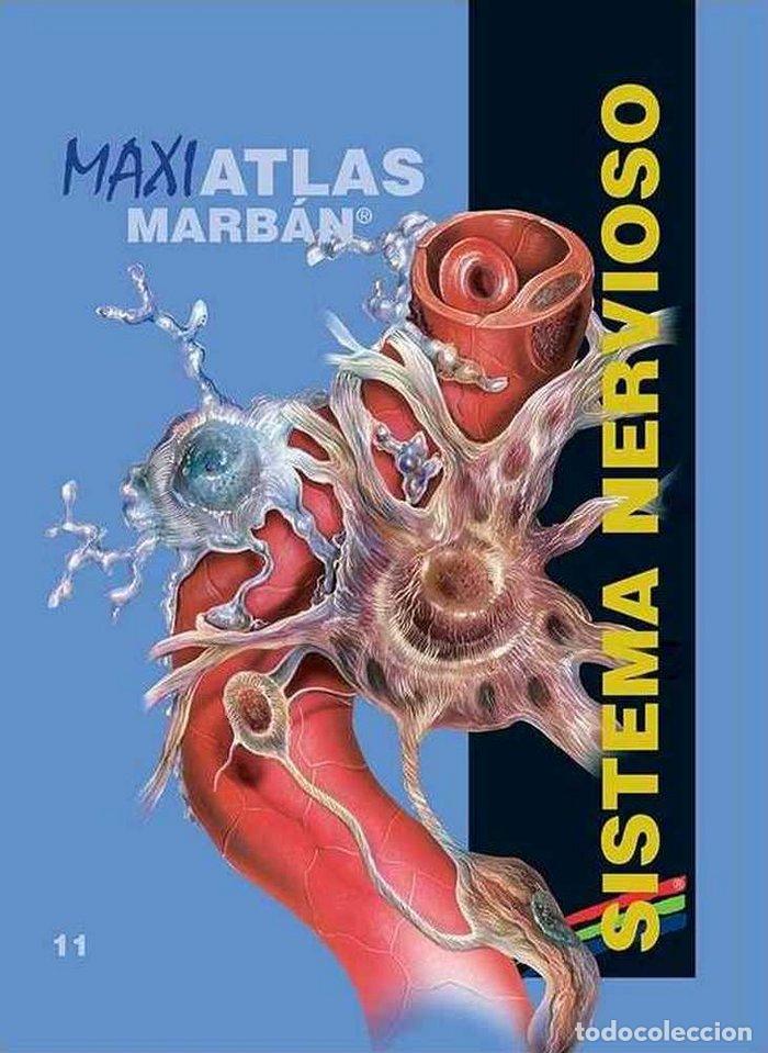 Livros: MAXI ATLAS SISTEMA NERVIOSO T11 - VV.AA.