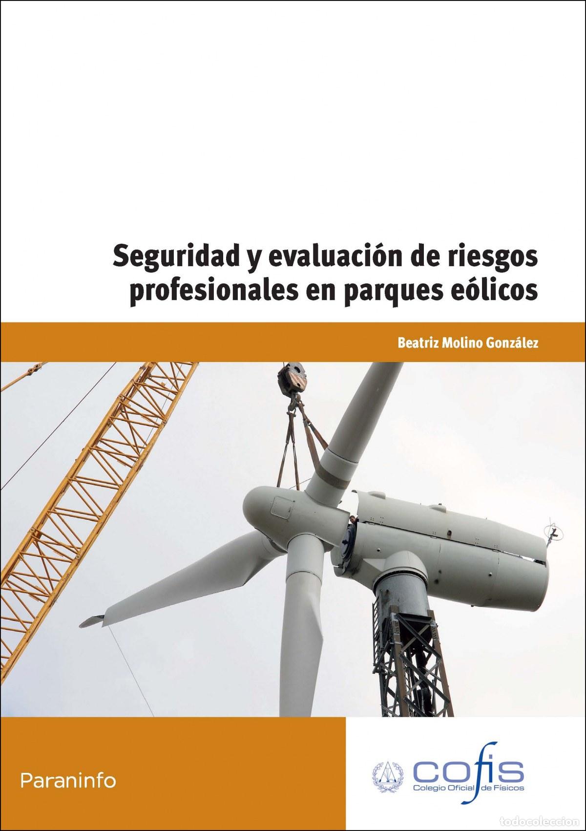 Libros: SEGURIDAD EVALUACI&Oacute;N RIESGOS PROFESIONALES PARQUES EOLICOS - Molino, Beatriz