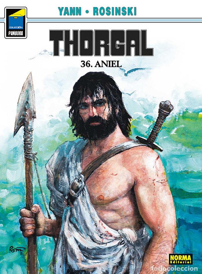 Libri: THORGAL 36. ANIEL. RUSTICA - YANN