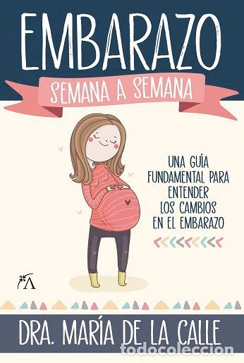 Libros: EMBARAZO SEMANA A SEMANA,EL - FERNANDEZ MIRANDA, MARIA DE LA CALLE