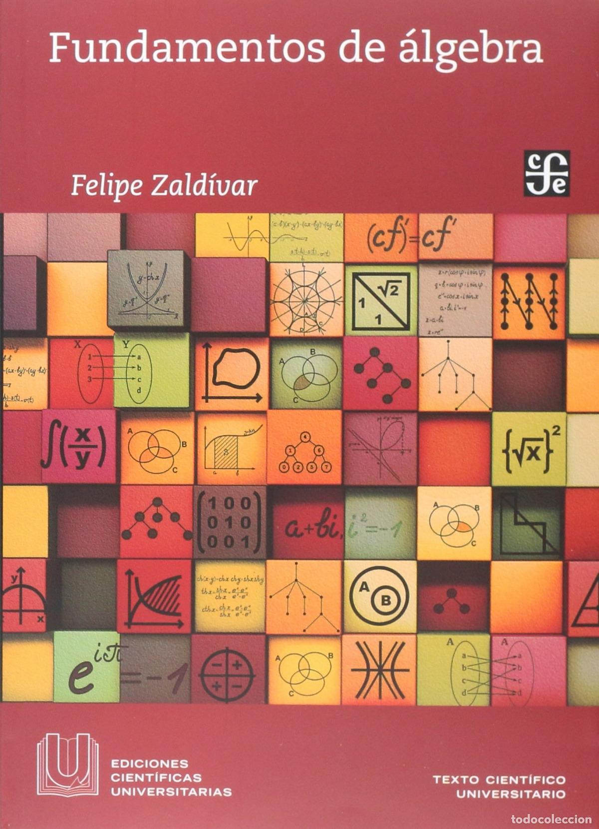 Livres: FUNDAMENTOS DE &Aacute;LGEBRA - Zald&iacute;var, Felipe