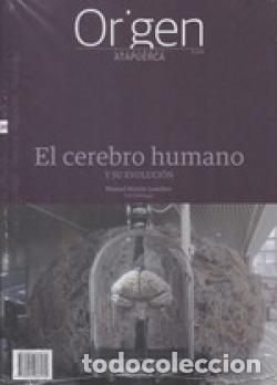 B&uuml;cher: EL CEREBRO HUMANO - VVAA