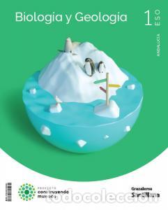 Libri: BiologIa y geologIa 1eso costruyendo mundos santillana grazalemae.s.o..1er curso - .