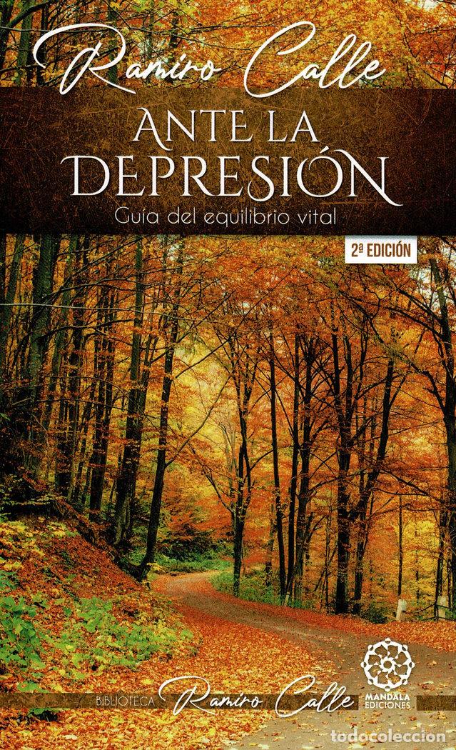 Livres: ANTE LA DEPRESION - CALLE, RAMIRO