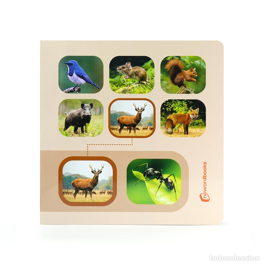 Libros: BUSCA Y ENCUENTRA ANIMALES DEL BOSQUE - NOWORDBOOKS