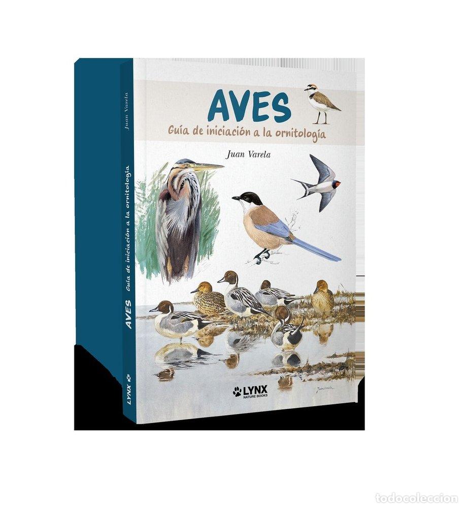 Libros: AVES GUIA DE INICIACION A LA ORNITOLOGIA - VARELA, JUAN