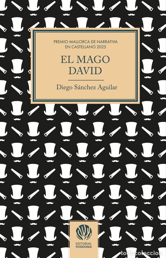 Livros: EL MAGO DAVID - DIEGO SANCHEZ AGUILAR