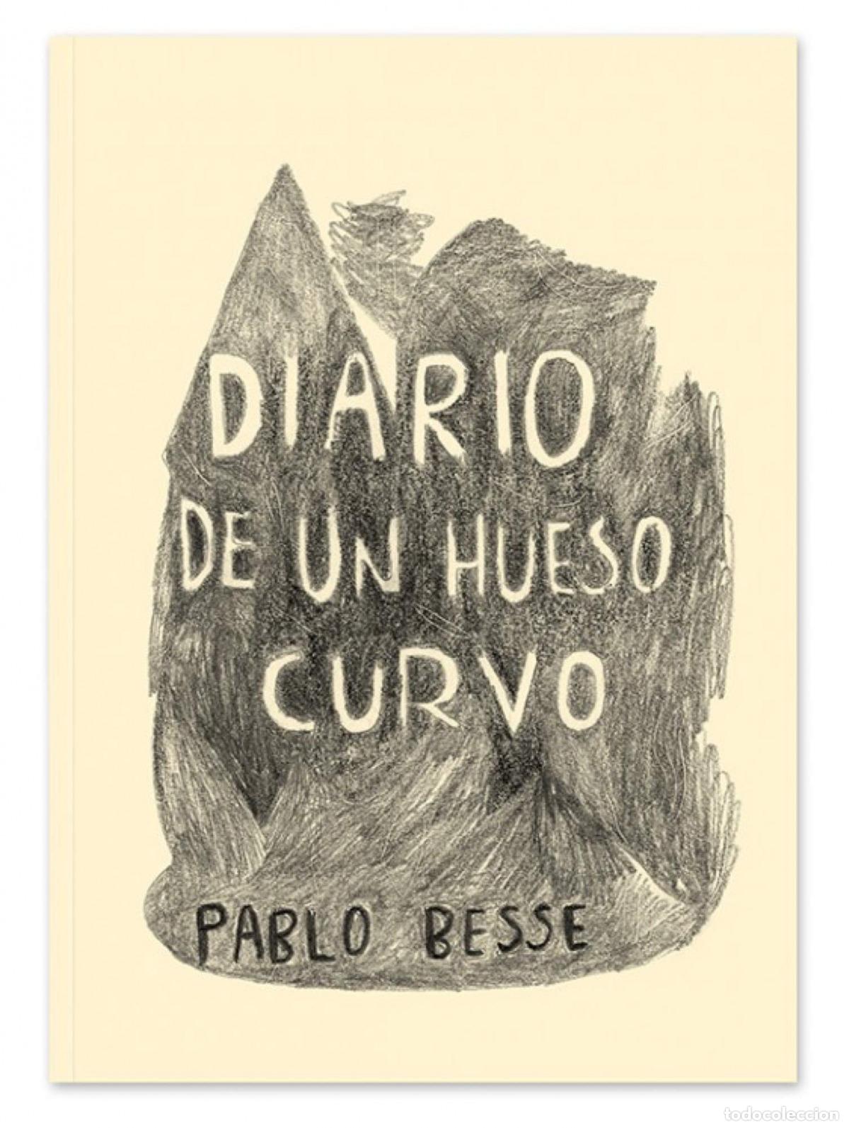 Livros: DIARIO DE UN HUESO CURVO - Besse Tibaudin, Pablo