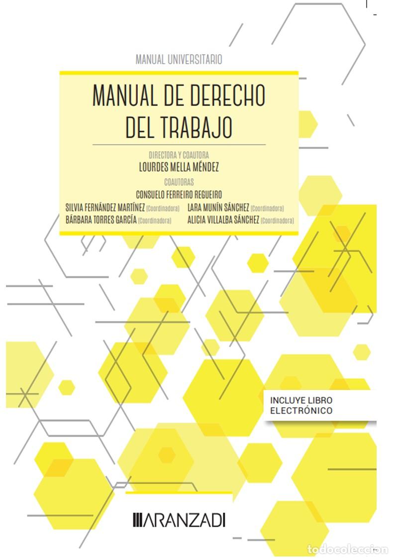 Livros: MANUAL DE DERECHO DEL TRABAJO (PAPEL + E-BOOK) - Fern&aacute;ndez Mart&iacute;nez, Silvia