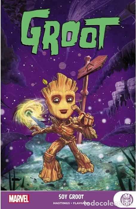 books: MYA09 GROOT SOY GROOT - FLAVIANO