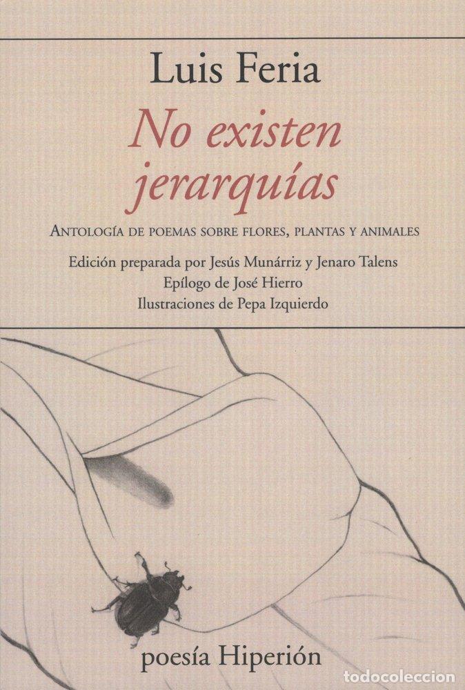 Livres: NO EXISTEN JERARQUIAS - FERIA, LUIS