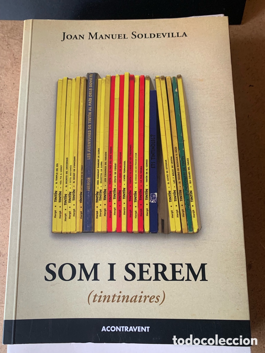 Libros: LIBRO SOM I SEREM (TINTINAIRES). JOAN MANUEL SOLDEVILLA. EDITORIAL ACONTRAVENT. A&Ntilde;O 2013. EFITORI