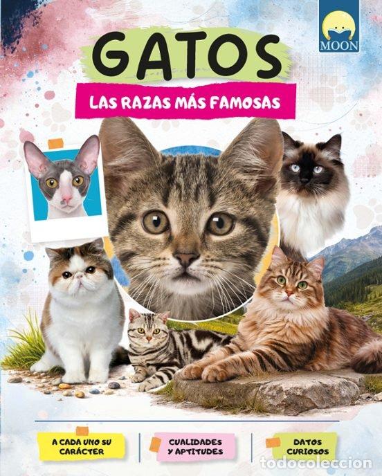 Livres: GATOS RAZAS MAS FAMOSAS - GIULIA BARBIERI