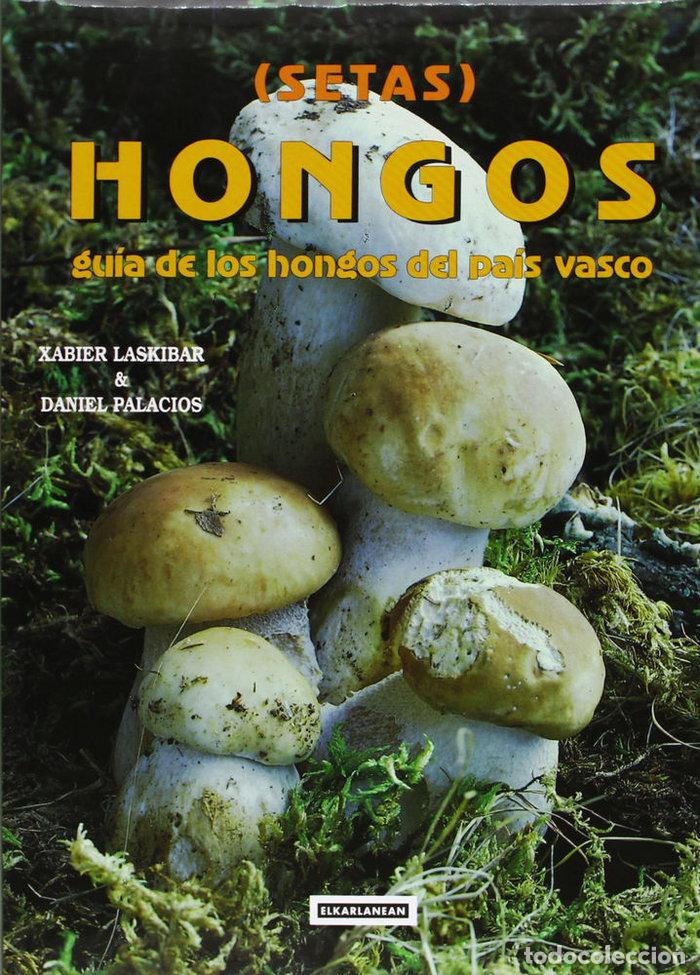 B&uuml;cher: SETAS-HONGOS 1. GUIA DE LOS HONGOS DEL PAIS VASCO - LASKIBAR, XABIER