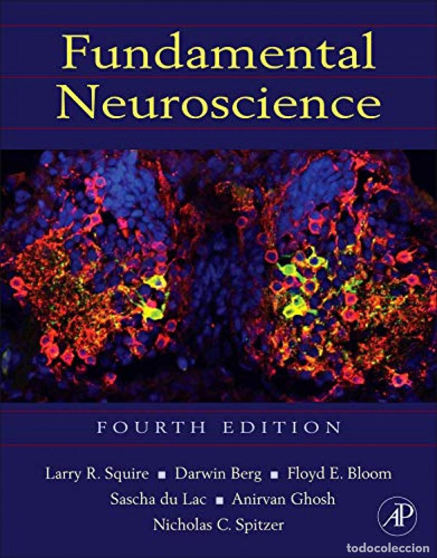 Livres: FUNDAMENTAL NEUROSCIENCE. 4&ordf; ED. [HARDCOVER] - LARRY R SQUIRE