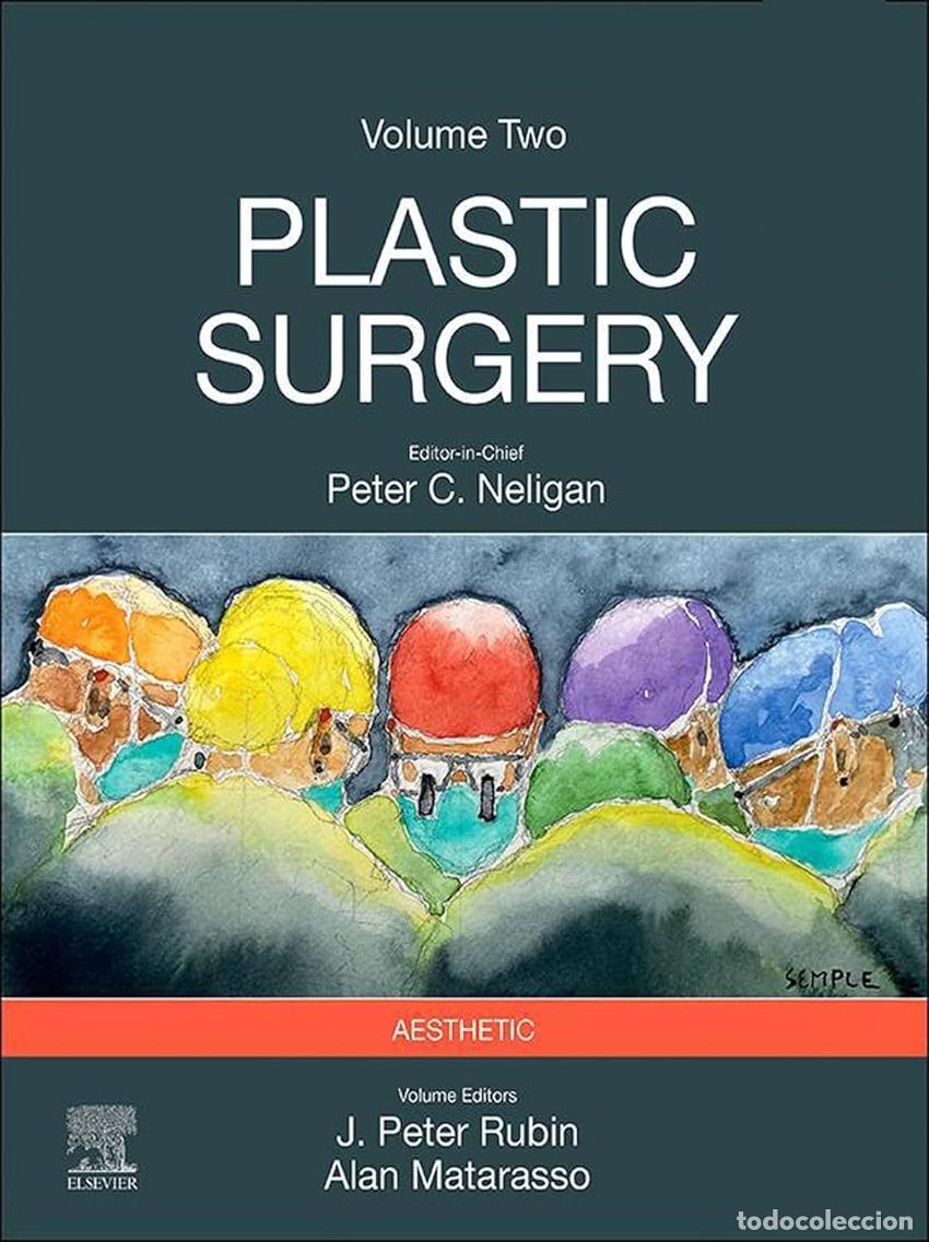 Libros: PLASTIC SURGERY:AESTHETIC SURGERY - Rubin - Foto 1