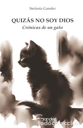 Livres: QUIZAS NO SOY DIOS: CRONICAS DE UN GATO - GANDER, STEFANIA