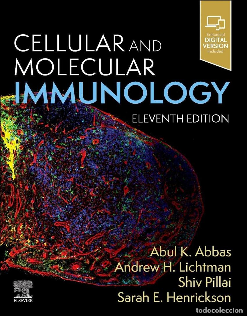 Livres: CELLULAR AND MOLECULAR IMMUNOLOGY - Abbas