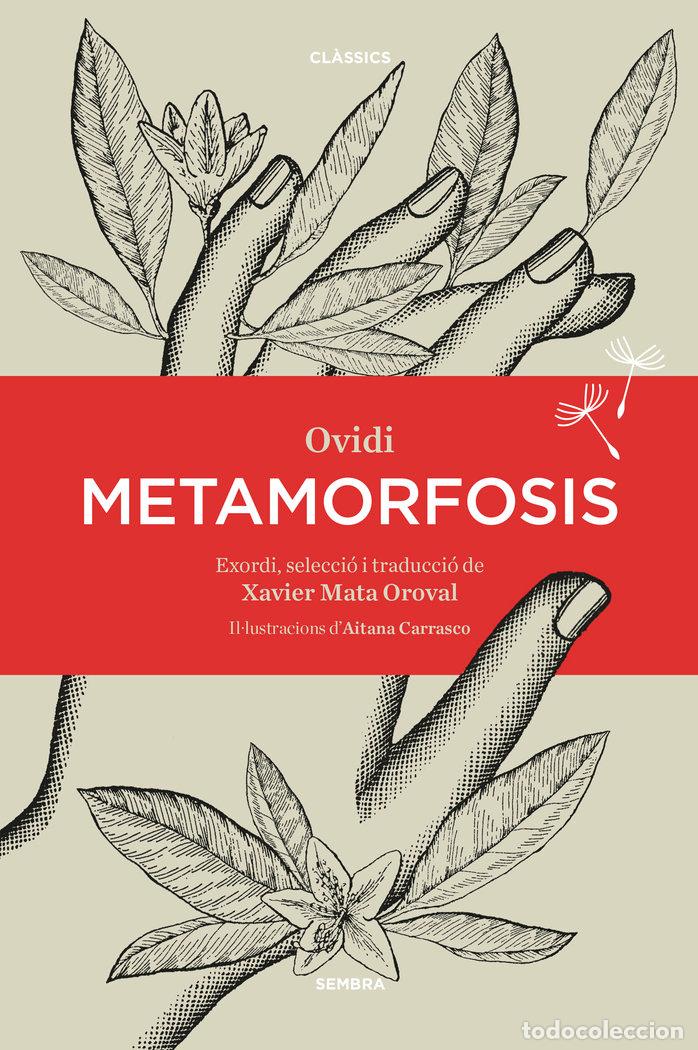 Libri: METAMORFOSIS (CAT) - OVIDI