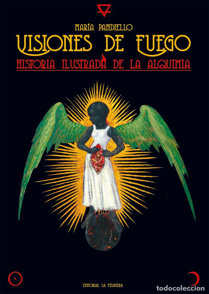 Libros: VISIONES DE FUEGO - PANDIELLO, MARIA