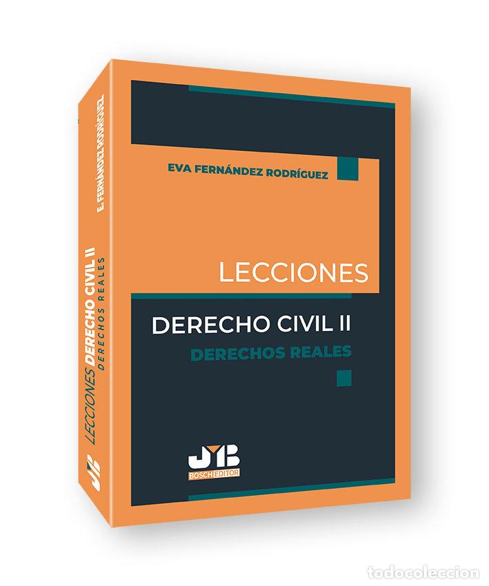 Livres: LECCIONES DERECHO CIVIL 2 DERECHOS REALES - AA.VV