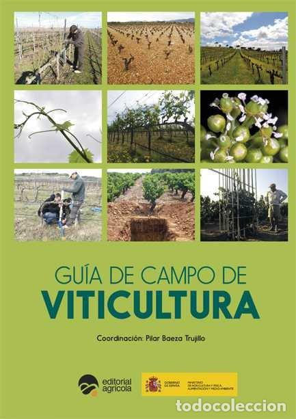 Libros: GUIA DE CAMPO DE VITICULTURA - PILAR BAEZA