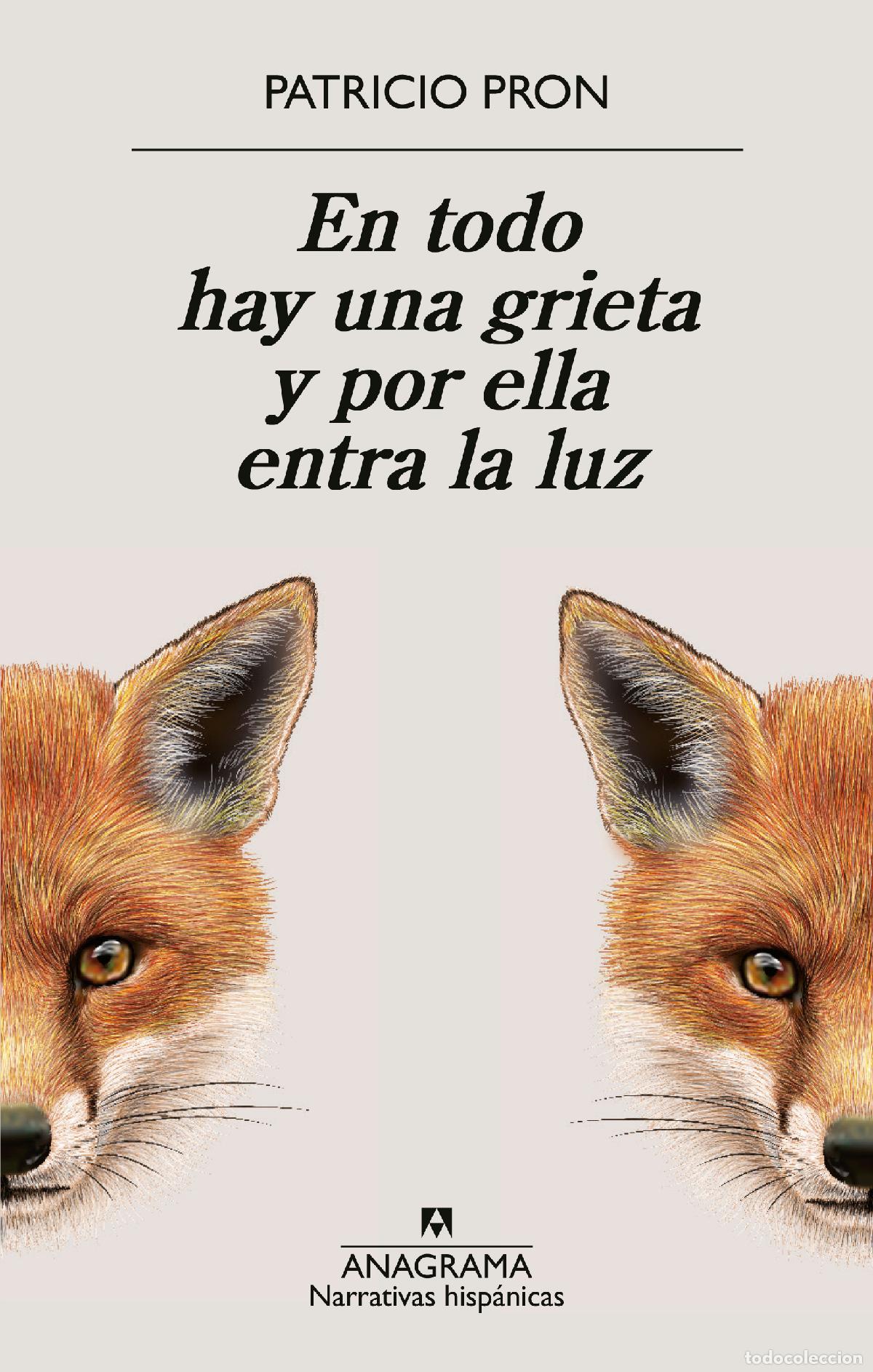 books: EN TODO HAY UNA GRIETA Y POR ELLA ENTRA LA LUZ - Patricio Pron