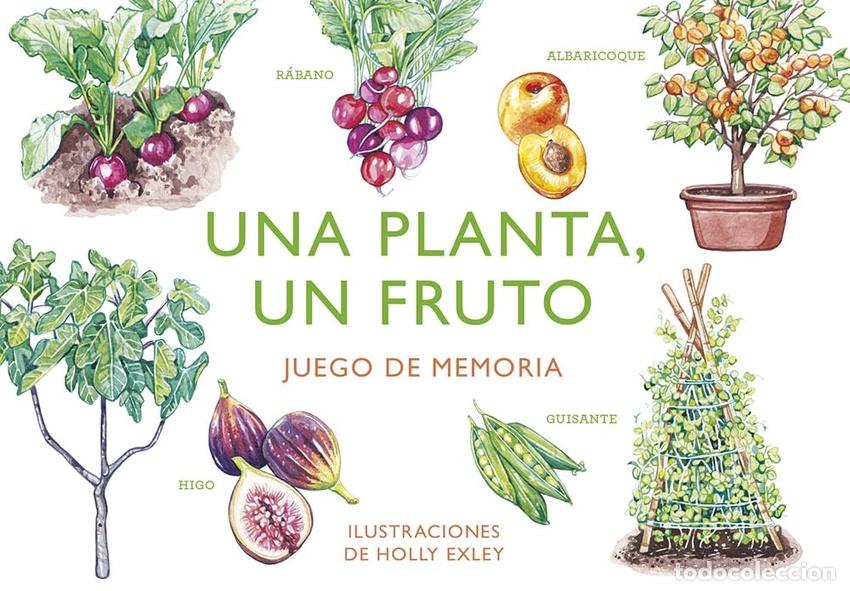 books: UNA PLANTA, UN FRUTO - Exley, Holly