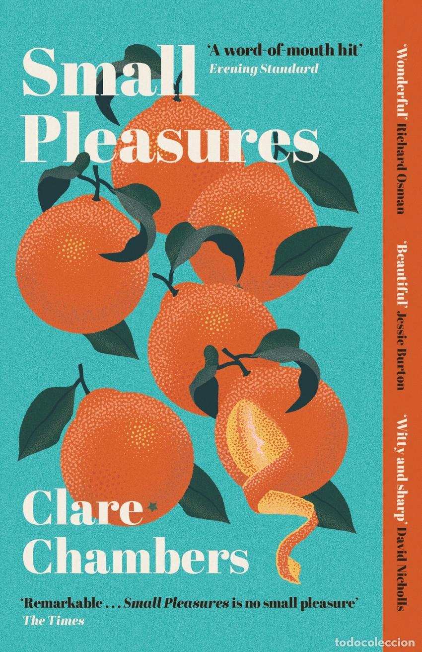 B&uuml;cher: SMALL PLEASURES - CLARE CHAMBERS
