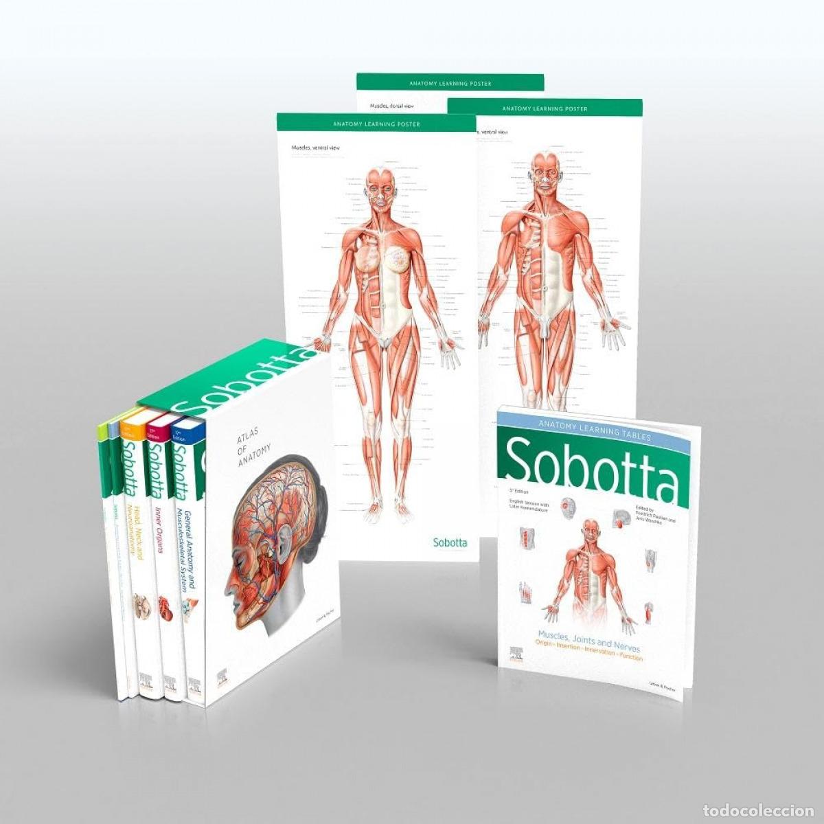 B&uuml;cher: SOBOTTA ATLAS OF ANATOMY - Paulse, Friedrich