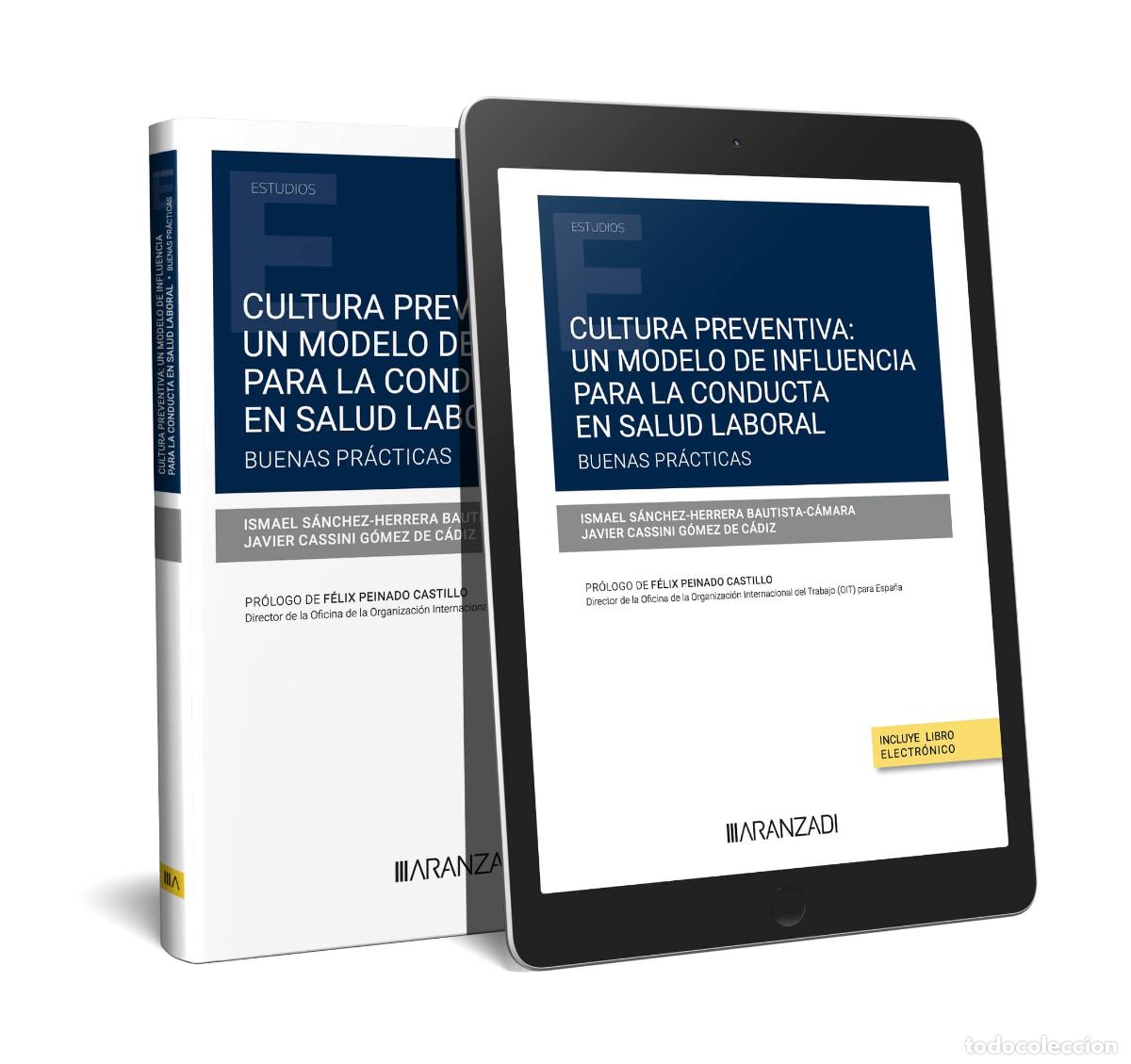 Libri: CULTURA PREVENTIVA: UN MODELO DE INFLUENCIA PARA LA CONDUCTA EN SALUD LABORAL. BUENAS PR&Aacute;CTICAS (PAP