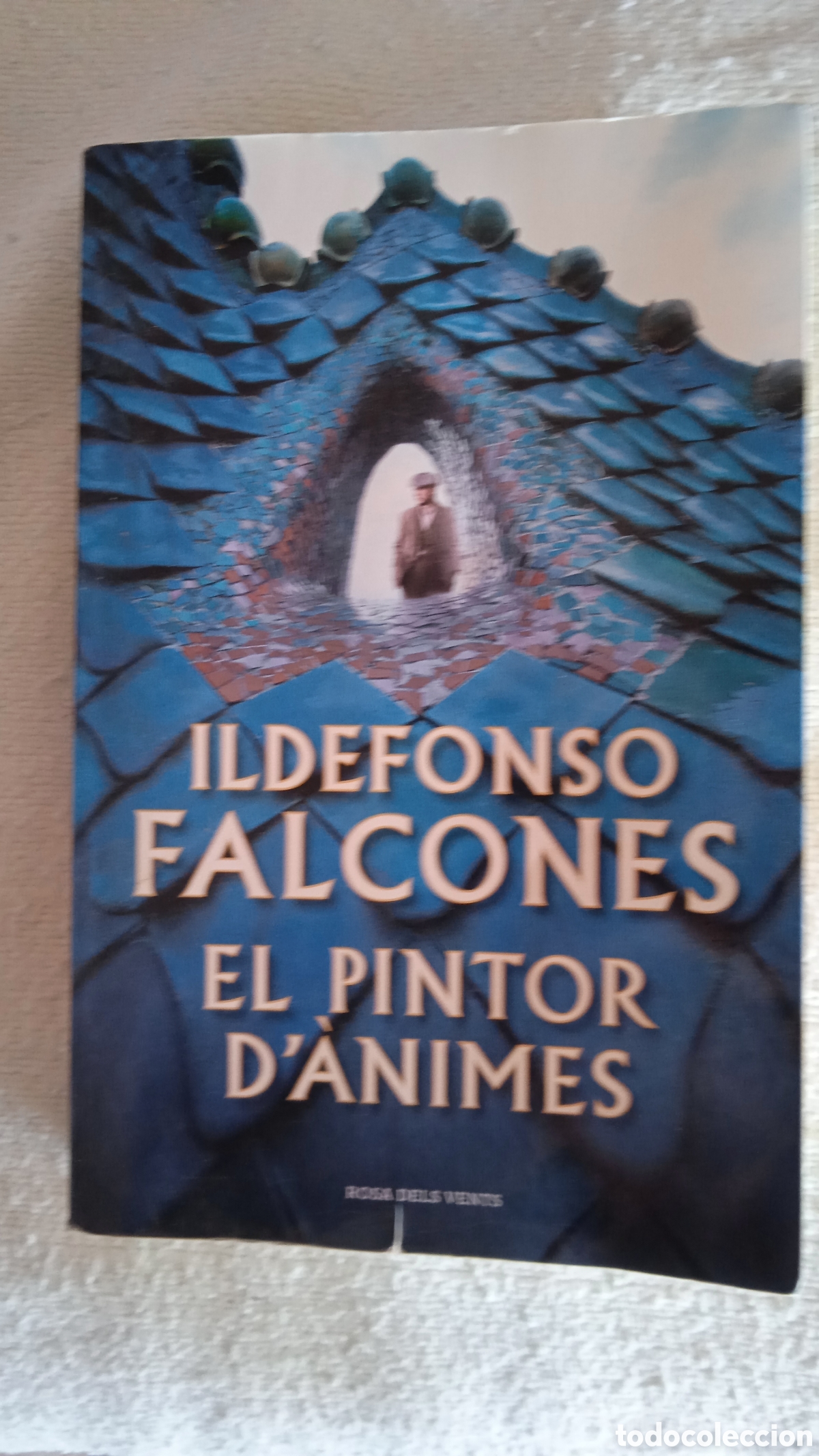 Libros: El Pintor d'&Agrave;nimes &ndash; Ildefonso Falcones | Novela Hist&oacute;rica en Catal&aacute;n | Editorial Rosa dels Vents