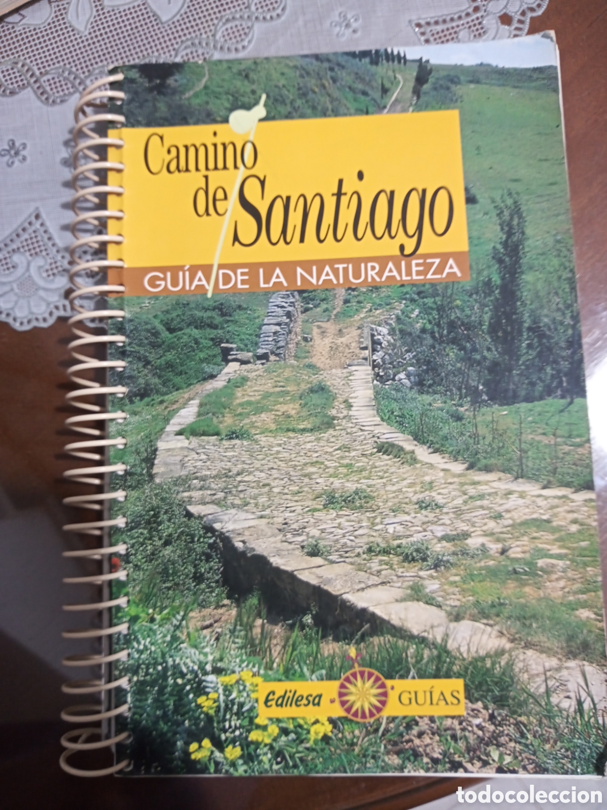 Libros: EL CAMINO DE SANTIAGO. GU&Iacute;A.