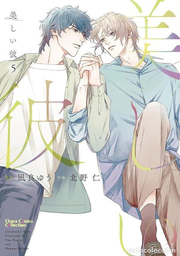Libros: MY BEAUTIFUL MAN 5- MANGA ADULTOS - YUU NAGIRA